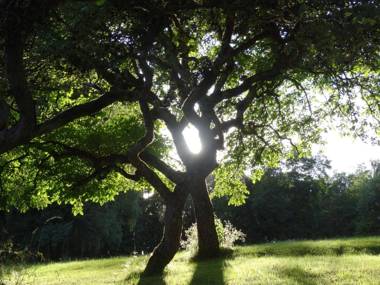 Le Gîte du Beauvais