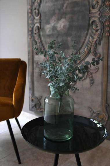 Hôtel Villa Glanum et Spa