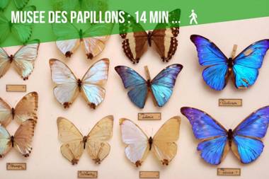 Comme à la Maison - CENTRE-VILLE