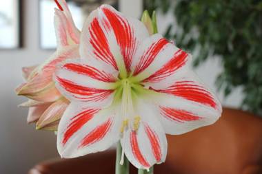 Hotel Ker Moor Préférence