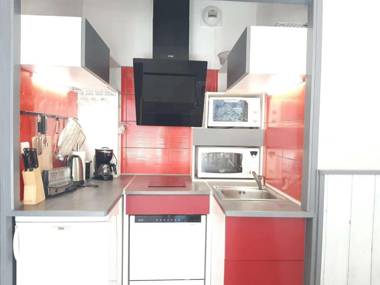 Appartement Saint-Lary-Soulan 1 pièce 4 personnes - FR-1-457-215