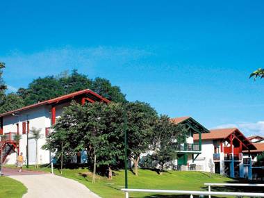 Comfortable apartment with terrace surrounded by pine trees