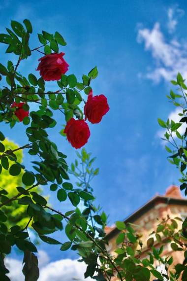 Villa Talisman Bed & Breakfast