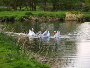 Gîtes de La Ferme de Vur Ven
