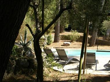 A hidden paradise in the beautiful surroundings of Saint-Remy-de-Provence!