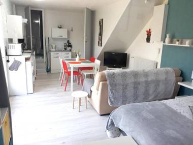 Studio avec piscine partagee jardin clos et wifi a Saint Apollinaire