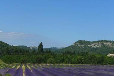 Le Clos de l'Apparent