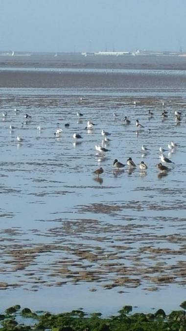 Hôtel Inn Design - Restaurant L'Escale