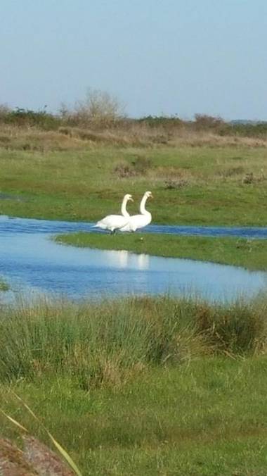 Hôtel Inn Design - Restaurant L'Escale