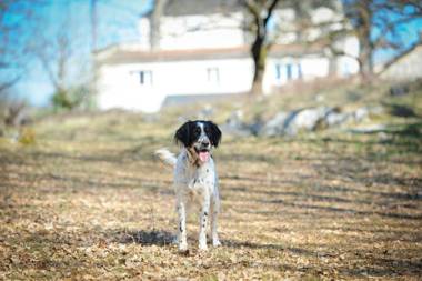 La Noyeraie Rocamadour