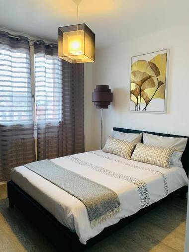 APPARTEMENT COEUR de ROANNE