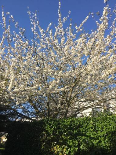 Hotel Arcantis Le Voltaire