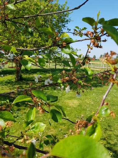 Chambres d'Hôtes de La Vieille Ecluse