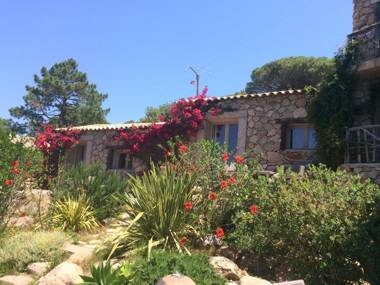 Hôtel Ambassador Palombaggia