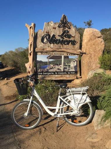 Domaine Les Oliviers de Palombaggia