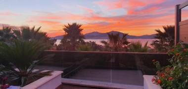 Les Jardins de la Palmeraie