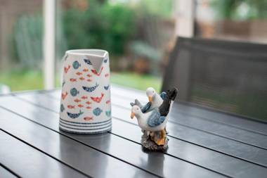 Maison familiale spacieuse avec jardin