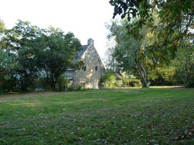 Des Feuilles et Des Hiboux
