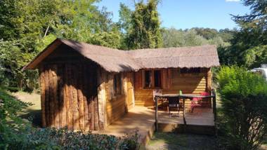 Le Coeur De La Foret