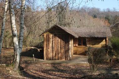 Le Coeur De La Foret