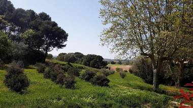 Château Saint Martin de Graves