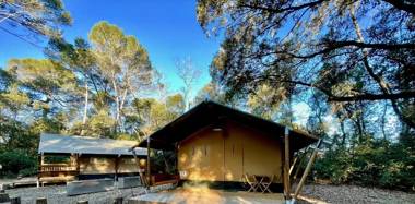 Chateau de Roquelune