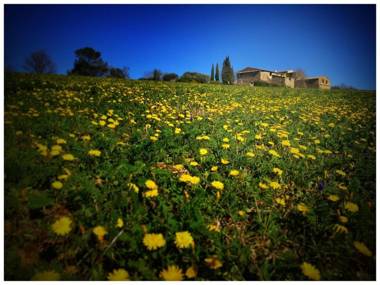 Les Grandes Mollières