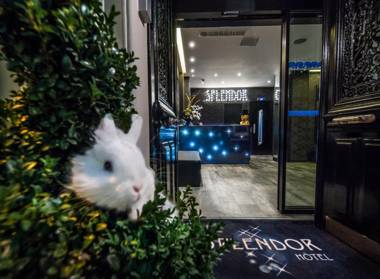 Hotel Splendor Elysées