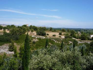 Les Garrigues de la Vallée des Baux