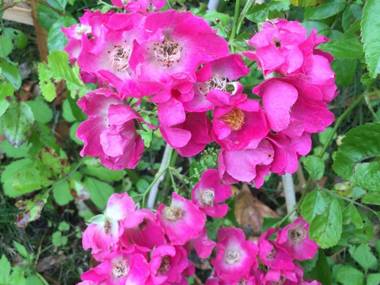 Chambres De St Michel