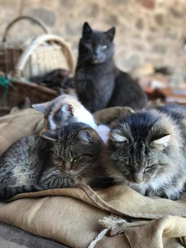 La Grange d'Hannah - gîte & chambre d’hôtes de charme