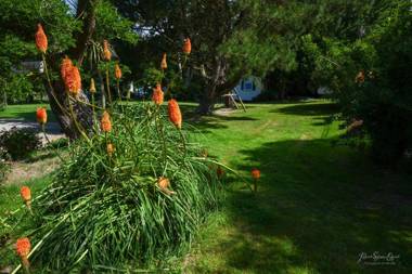 Domaine les Rousselières
