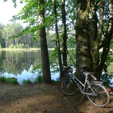 Un gîte dans la vallée