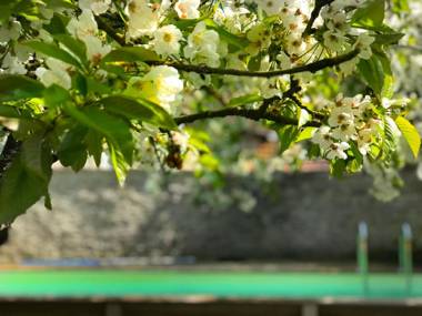 Côté-Serein suites familiales du Clos