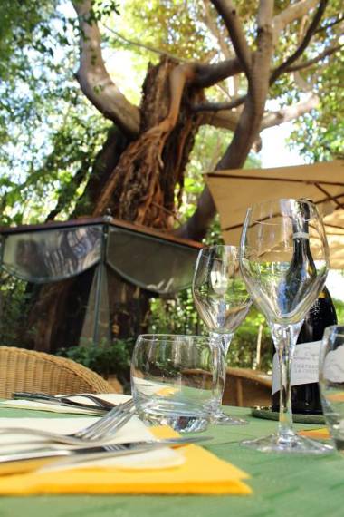 Le Windsor Jungle Art Hotel