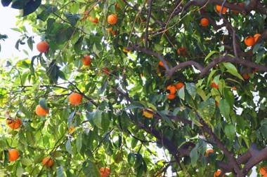 Hotel La Villa Nice Promenade