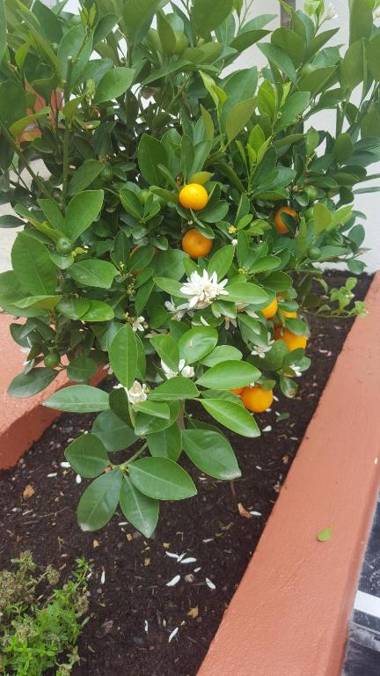 Boutique Hotel Nice Côte d'azur