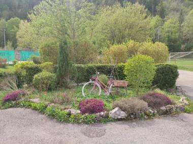 Adonis Le Signal de Nantua by Olydea