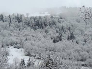 Hôtel Restaurant du Plomb du Cantal