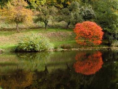 Appartements Maison Bellevue