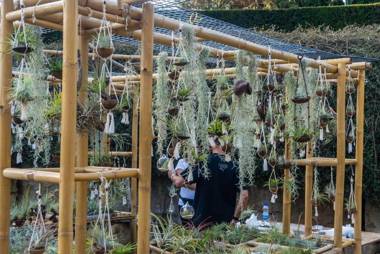 Travel Homes - Le Rebberg Superbe vue à Mulhouse