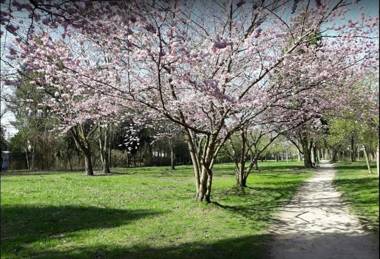 Travel Homes - Le Rebberg Superbe vue à Mulhouse