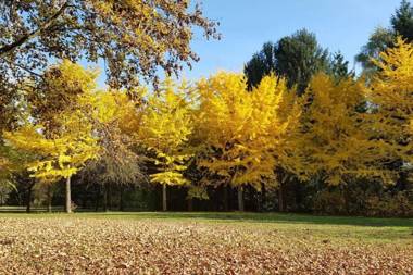 Travel Homes - Le Rebberg Superbe vue à Mulhouse