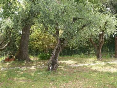 Majestic Villa in Mouans-Sartoux with Swimming Pool