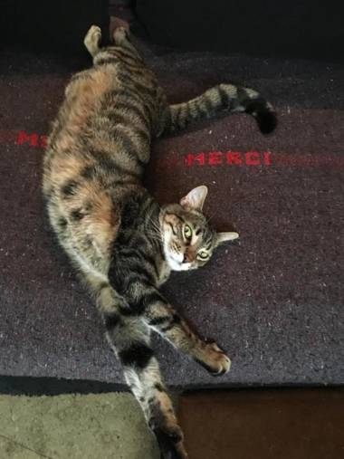 B&B "Chambre d'Autres" Massages