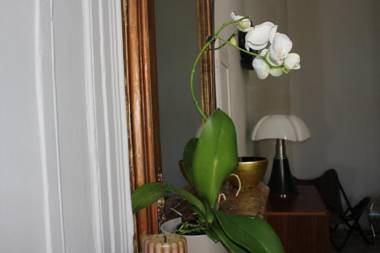 Palais des Rois d'Aragon