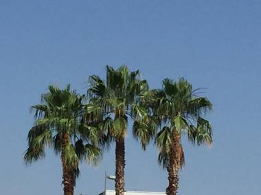 Appartement Mimosa tram 2 parking