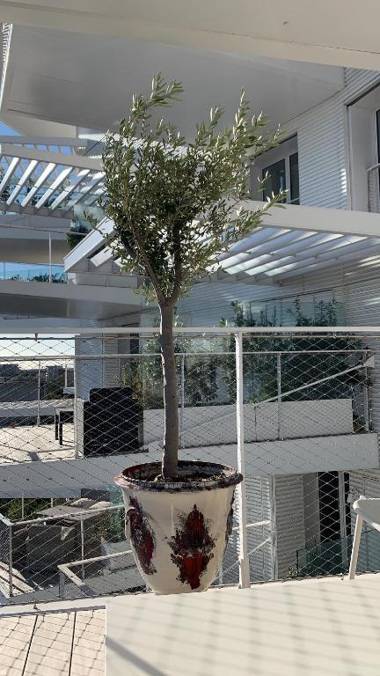 Architectural Jewel Arbre Blanc luxury 1 BR apt