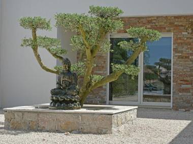 Modern villa in Montauroux with pool