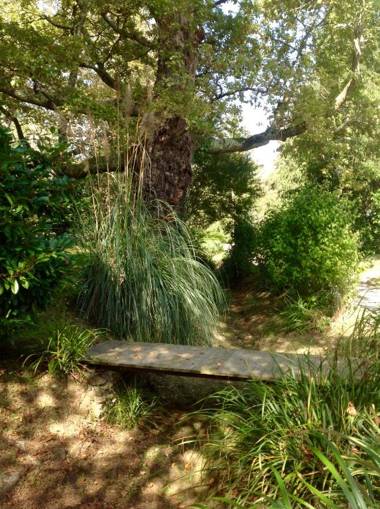 Gite-Holiday Home Au Moulin 1771